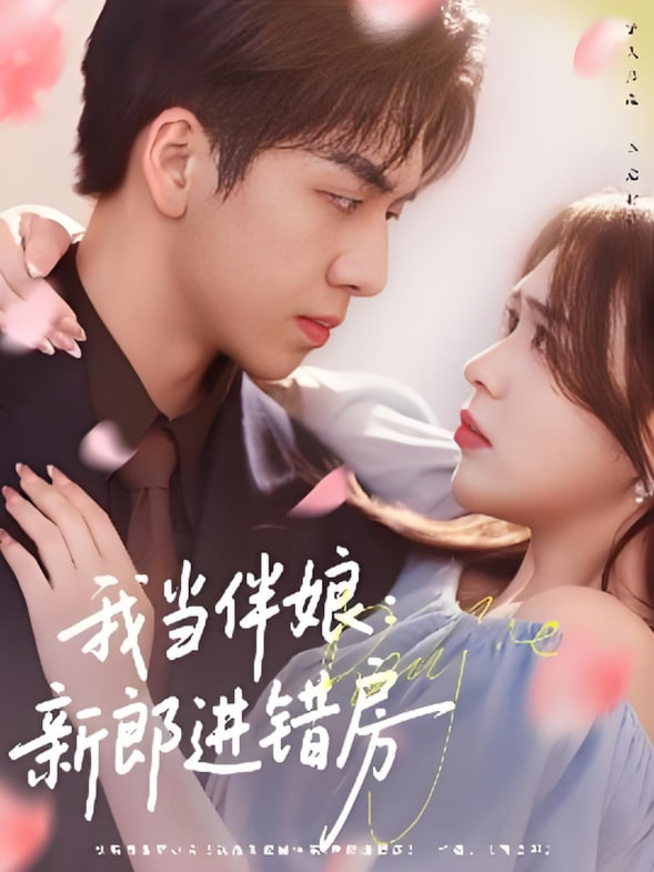我当伴娘新郎进错房封面图
