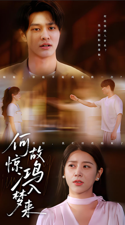 何故惊鸿入梦来封面图