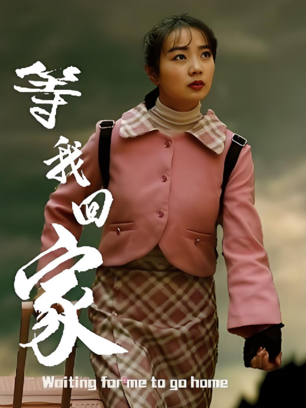 等我回家封面图