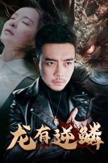 龙有逆鳞封面图