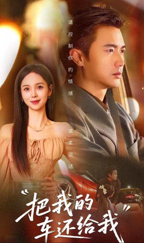 把我的车还给我封面图