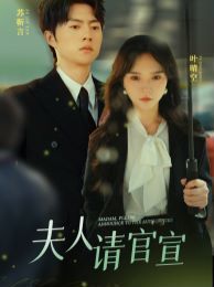 夫人请官宣封面图