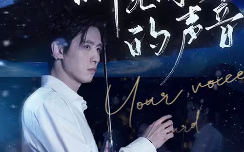 听见你的声音封面图