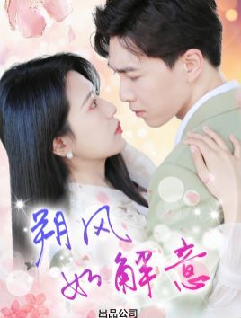 朔风有解意封面图