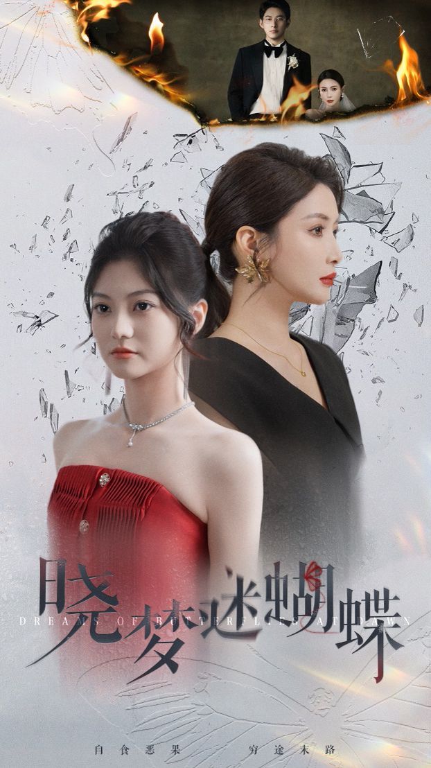 晓梦迷蝴蝶封面图