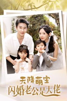 天降萌宝闪婚老公是大佬封面图