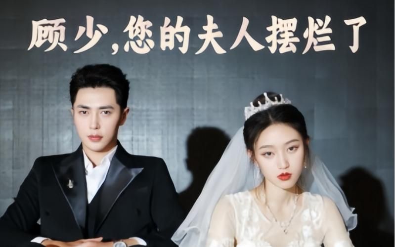 顾少，您的夫人摆烂了封面图