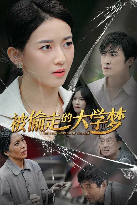 被偷走的大学梦封面图