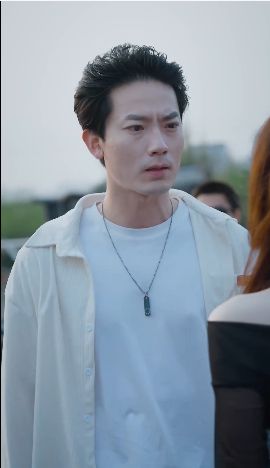 特种上门女婿封面图