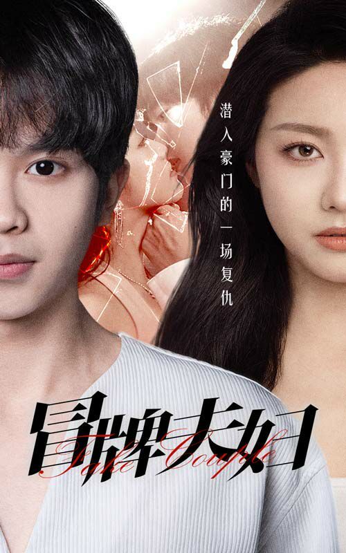 冒牌夫妇封面图