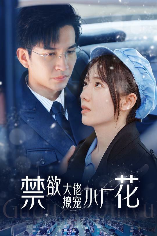 禁欲大佬撩宠小厂花（小可怜靠生子宠冠电子厂）封面图