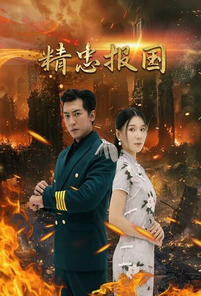 精忠报国封面图