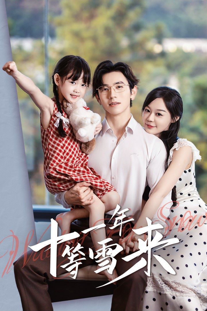 十一年等雪封面图