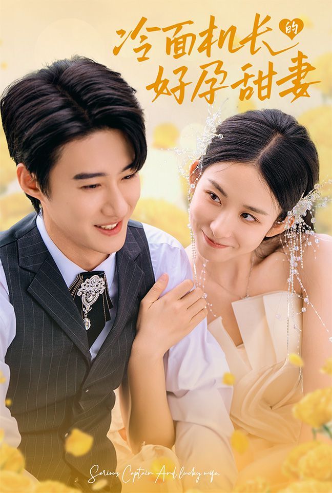 冷面机长的好孕甜妻封面图