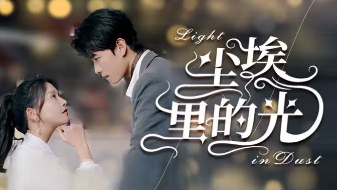尘埃里的光封面图