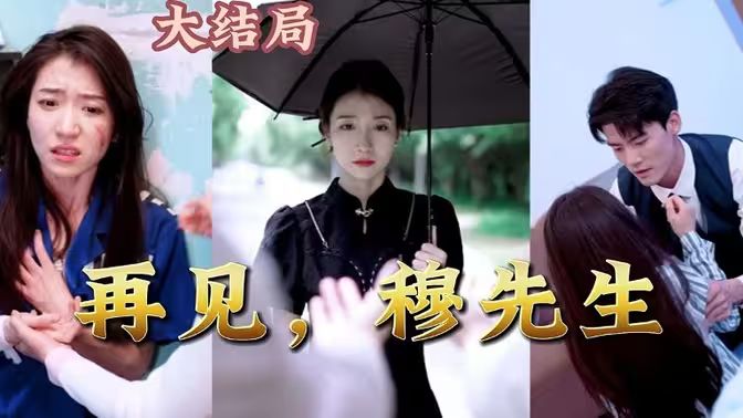 再见，穆先生封面图