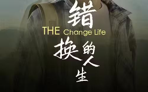 错换的人生封面图