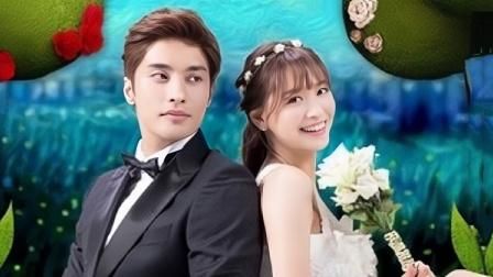 灰姑娘的恋爱契约封面图