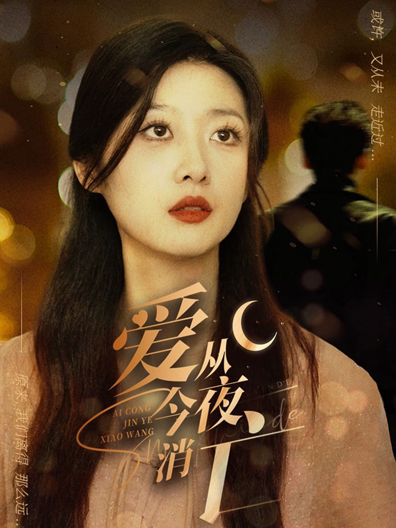 爱从今夜消亡封面图