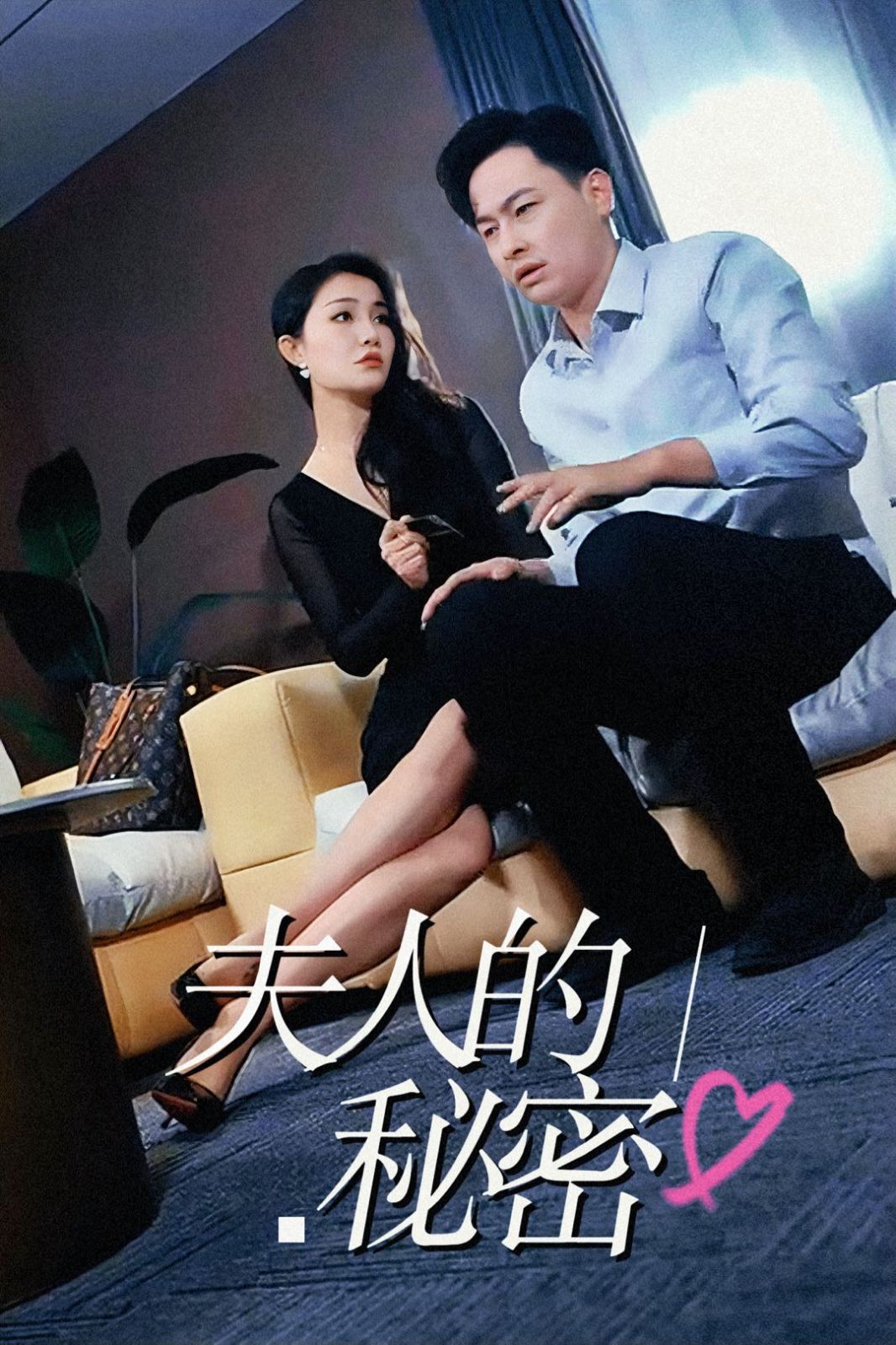 夫人的秘密封面图