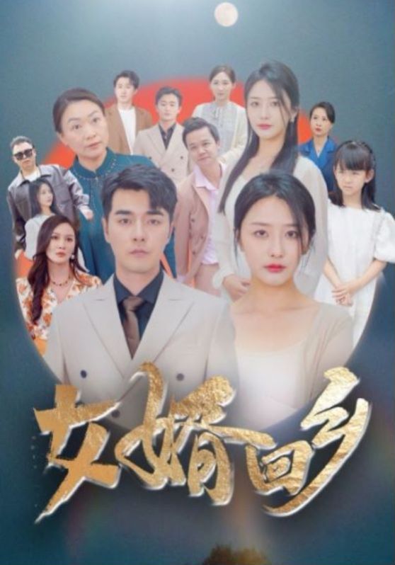 女婿回乡封面图