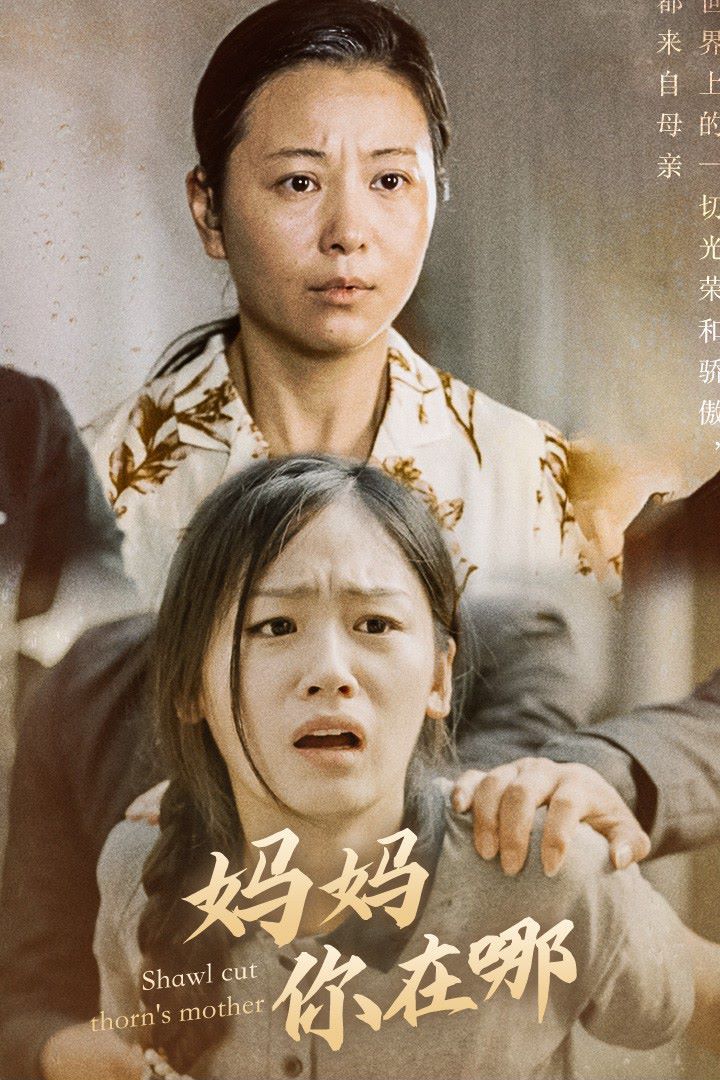 妈妈你在哪（春风不改旧时波）封面图