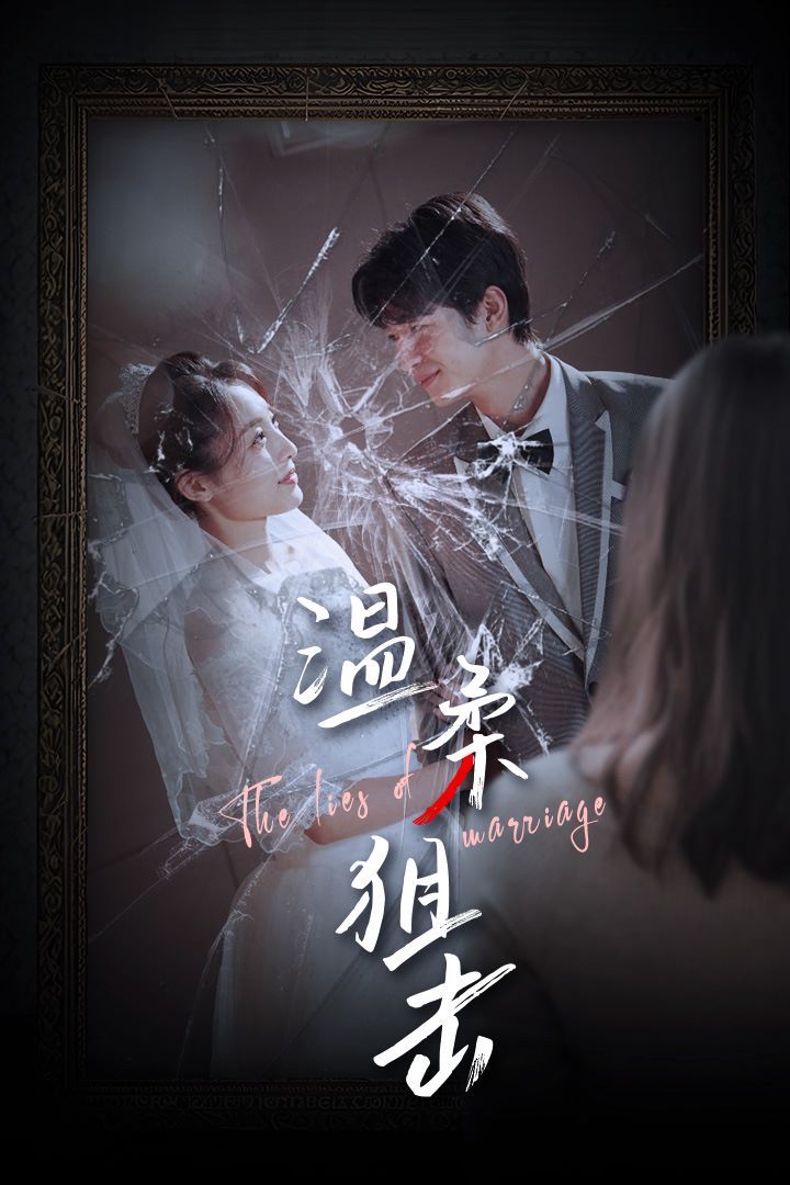 温柔狙击（婚姻迷雾）（婚姻的谎言）封面图