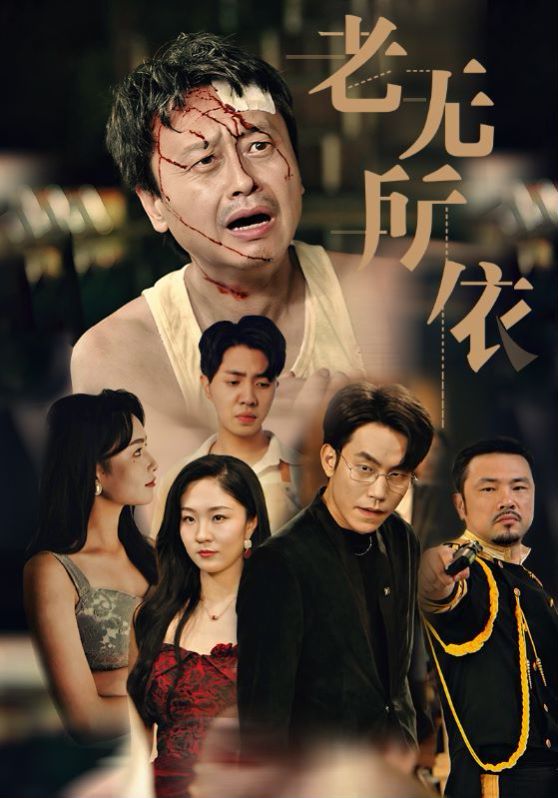 老无所依封面图