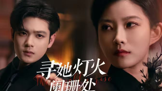 寻她灯火阑珊处封面图