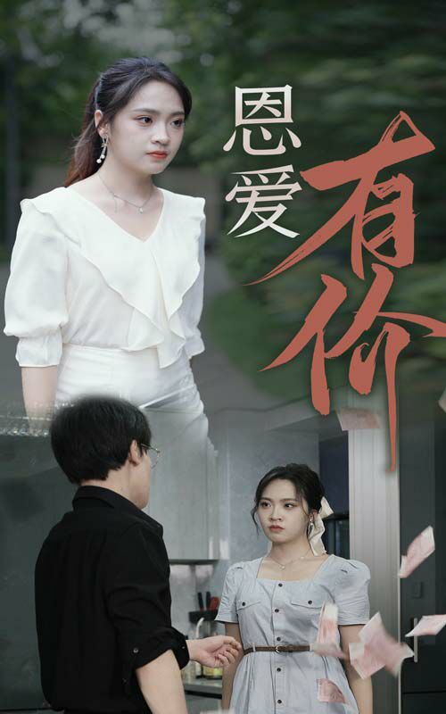 恩爱有价封面图