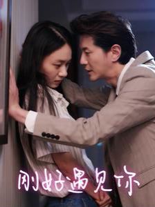 新刚好遇见你封面图