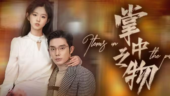 掌中之物封面图