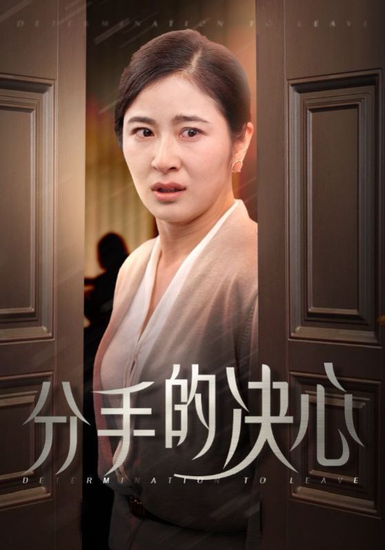 分手的决心封面图