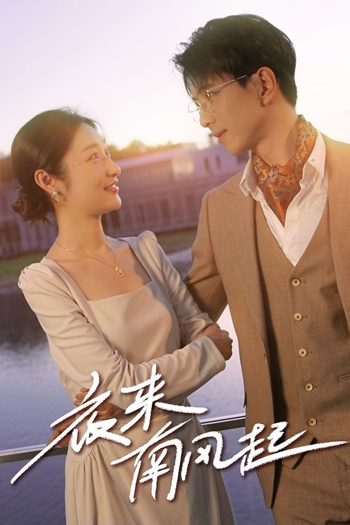 夜来南风起封面图