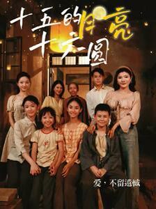 十五的月亮十六圆封面图