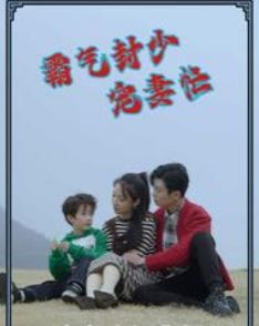 霸气封少宠妻忙封面图