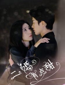 二婚有点甜封面图