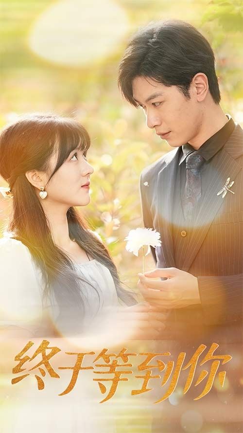 终于等到你（你是我的木槿年华）封面图