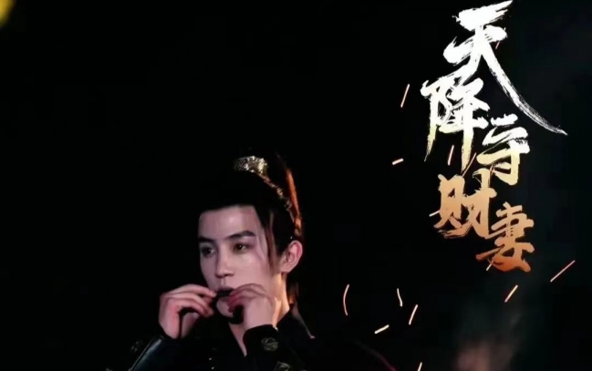 天降守财妻封面图