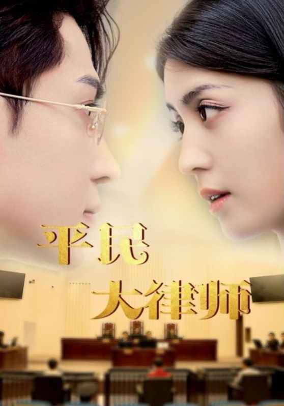 平民大律师封面图