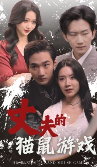 丈夫的猫鼠游戏封面图
