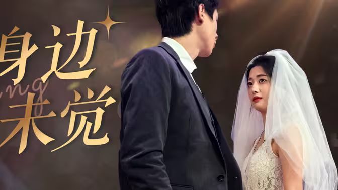 爱在身边却未觉封面图