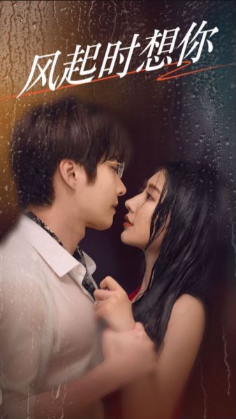 风起时想你封面图