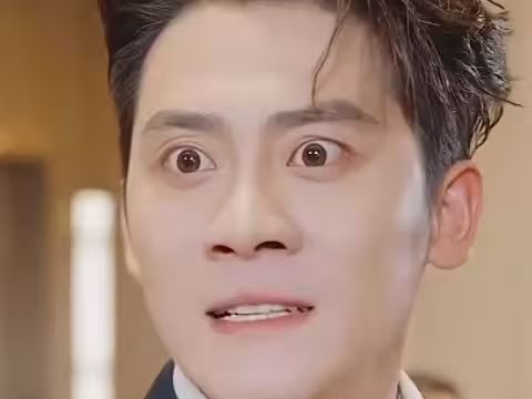 惊鸿 2024封面图