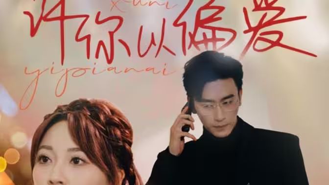 许你以偏爱封面图