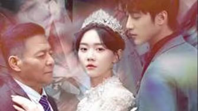 今宵尽欢颜封面图