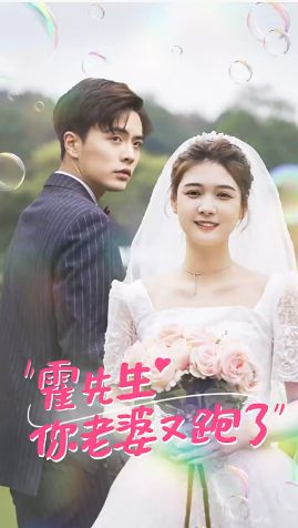 霍先生你老婆又跑了封面图