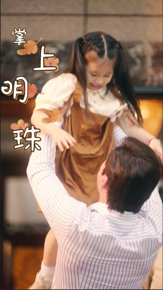 掌上明珠封面图