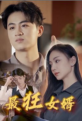 最狂女婿封面图