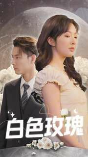 白色玫瑰封面图